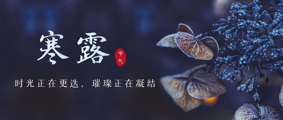 寒露 ▎時(shí)光更迭，璀璨正在凝結(jié)~