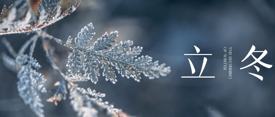 立冬 ▎朔風(fēng)始起，萬(wàn)物境藏