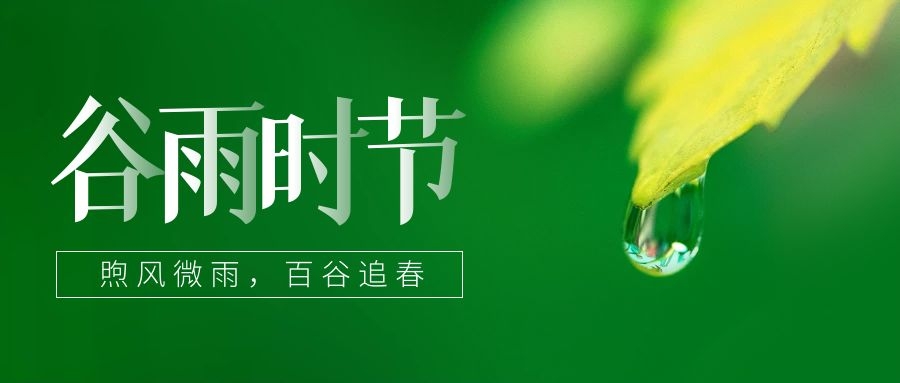 谷雨 ▎雨生百谷，鎖住一抹春色