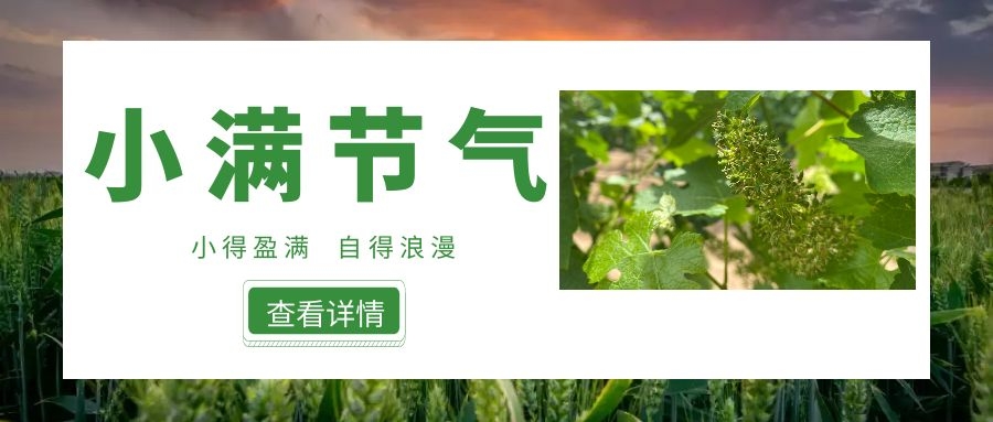 小滿 ▎小得盈滿，自得浪漫~