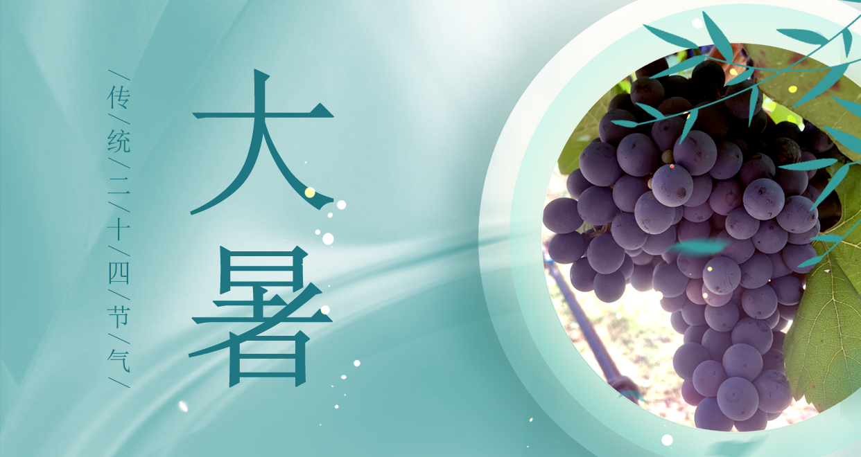大暑 ▎時夏三伏盛，葡萄綴滿天