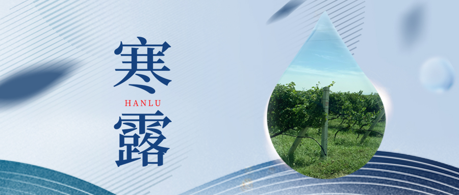 寒露丨夜露凝寒，萬物皆秋