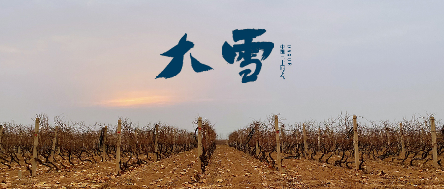 大雪 ▎世界留白，天地靜美