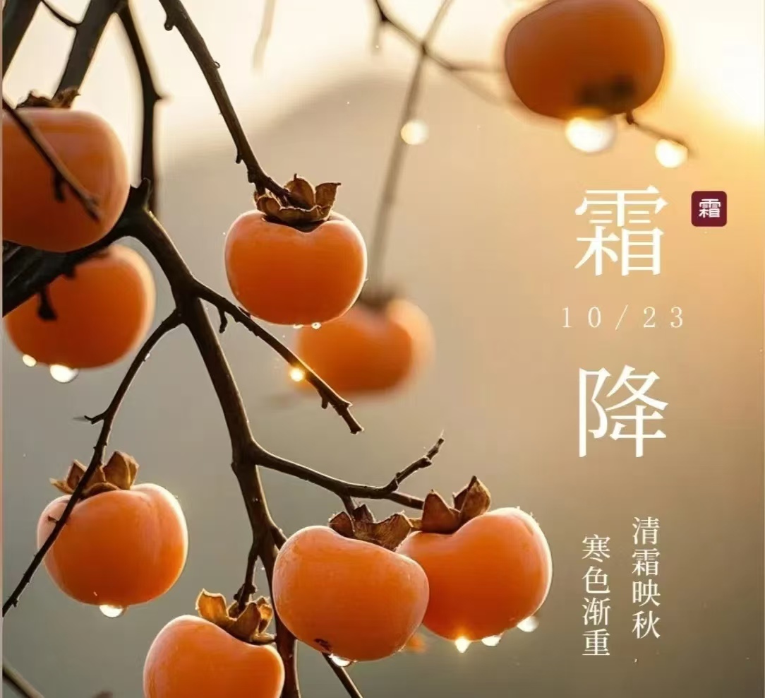 霜降||人間至此秋色盡，草木搖落露為霜